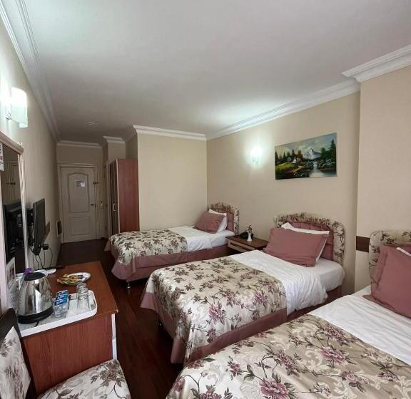 اتاق استاندارد سه نفره, Bayındır Palme