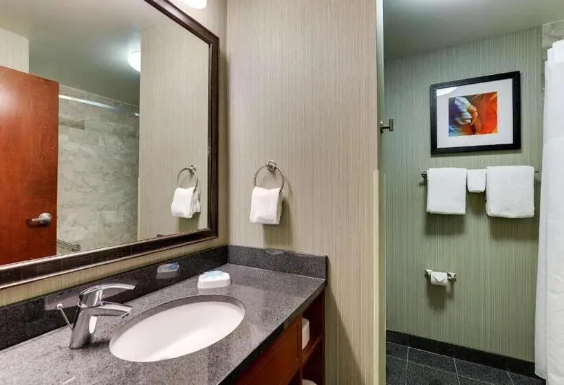 Deluxe Suite King Bed, Drury Inn & Suites Phoenix Chandler Fashion Center