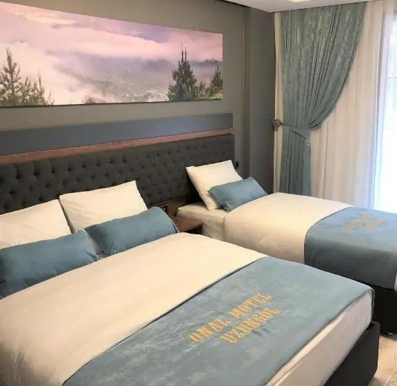 1 Bedroom Apartment Lake View, Onal Motel