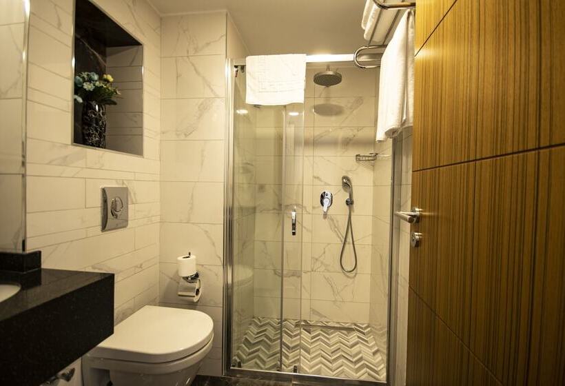 اتاق استاندارد یک نفره, Eliza