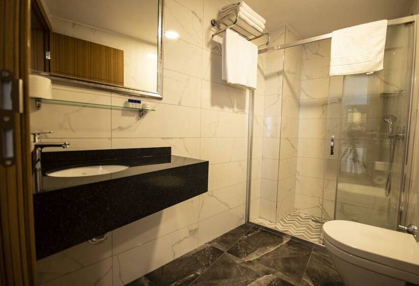 اتاق استاندارد سه نفره, Eliza