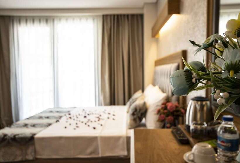 اتاق استاندارد سه نفره, Eliza