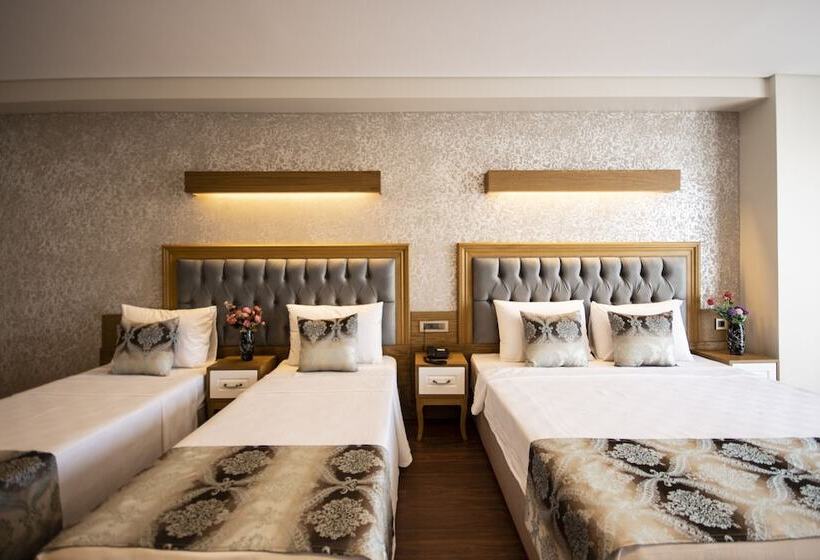 اتاق استاندارد چهار تخته, Eliza