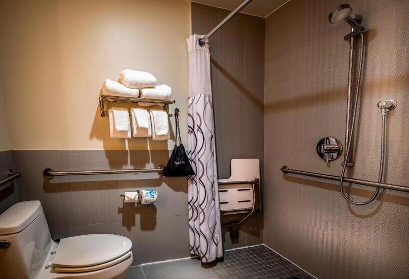 اتاق استاندارد با تخت بزرگ برای معلولان, La Quinta By Wyndham Time Square South