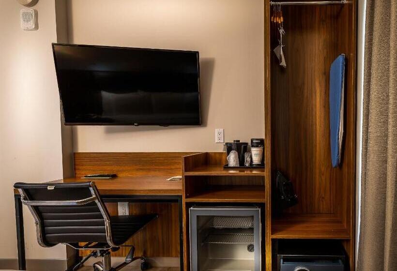 带大床的标准间, La Quinta by Wyndham Time Square South