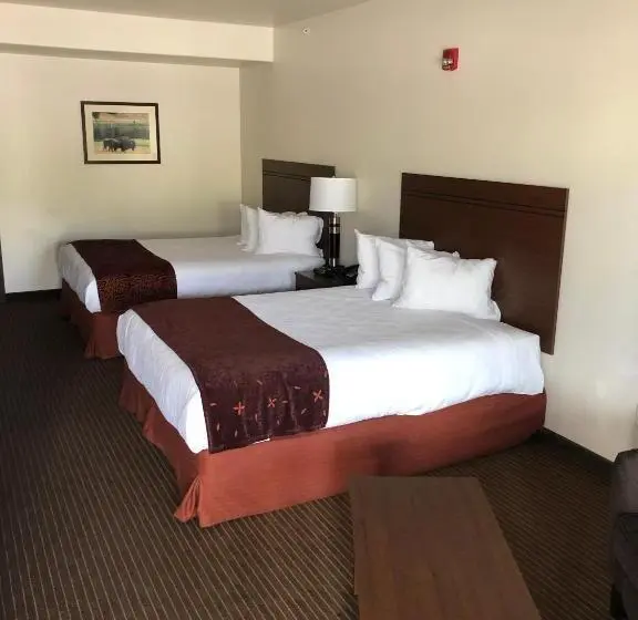身障者適用スタンダードルーム, Yellowstone Big Rock Inn