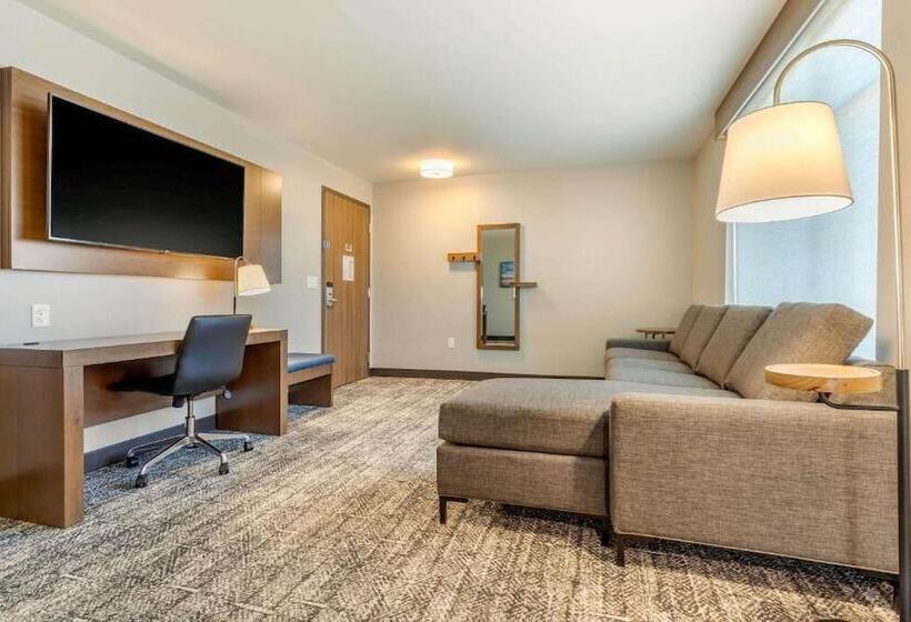 جناح لذوى الاحتياجات الخاصة, Cambria Hotel Davenport Quad Cities