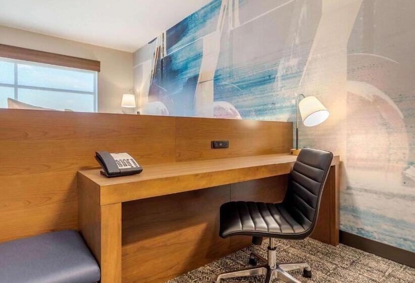 غرفة قياسية سرير كينج لذوى الإحتياجات الخاصة, Cambria Hotel Davenport Quad Cities