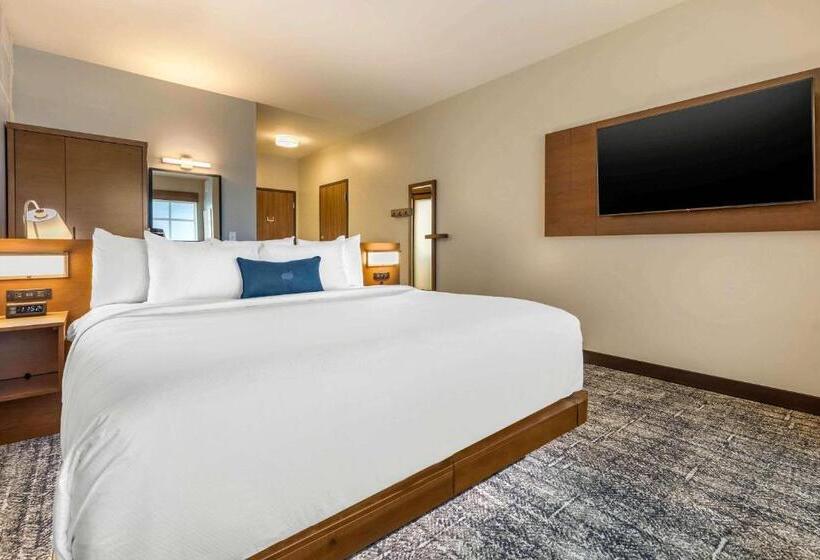 غرفة قياسية سرير كينج لذوى الإحتياجات الخاصة, Cambria Hotel Davenport Quad Cities