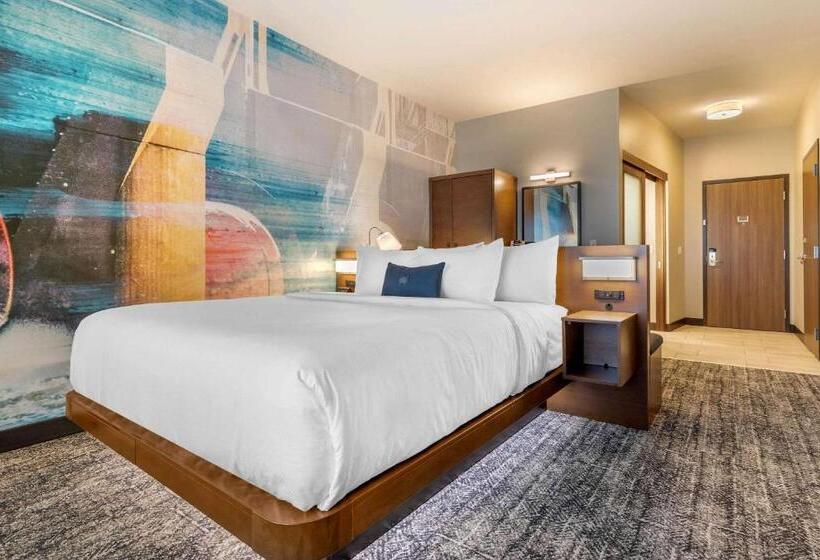 اتاق استاندارد با تخت بزرگ برای معلولان, Cambria Hotel Davenport Quad Cities