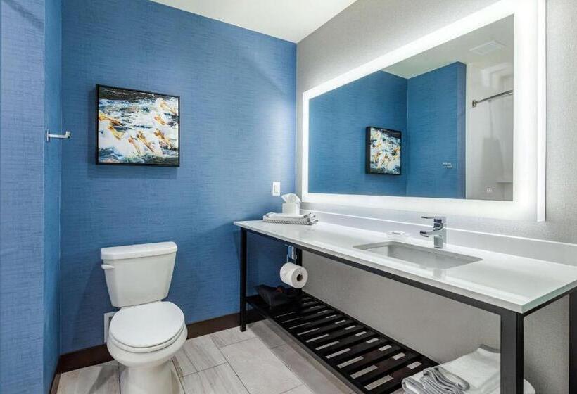 غرفة قياسية سرير كينج لذوى الإحتياجات الخاصة, Cambria Hotel Davenport Quad Cities