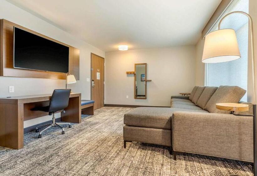 سوئیت برای معلولان, Cambria Hotel Davenport Quad Cities
