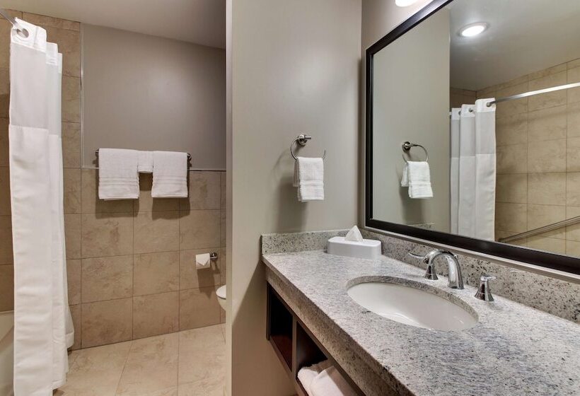 适合残疾人士使用的套间, Drury Plaza Hotel Dallas Richardson