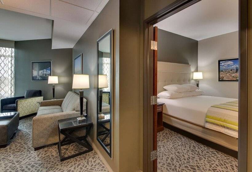 适合残疾人士使用的套间, Drury Plaza Hotel Dallas Richardson