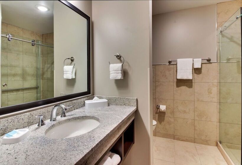 غرفة ديلوكس لذوى الاحتياجات الخاصة, Drury Plaza Hotel Dallas Richardson