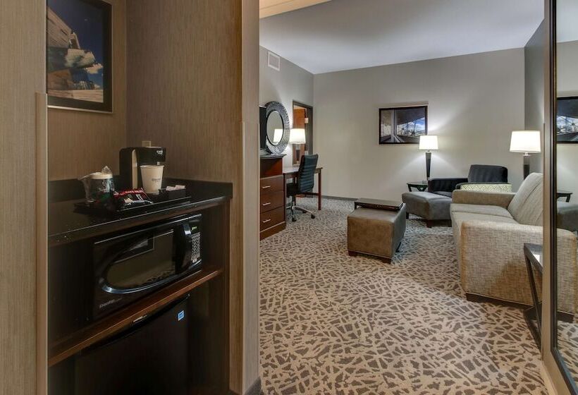 Люкс, Drury Plaza Hotel Dallas Richardson