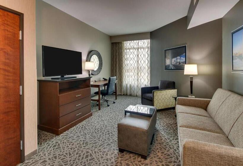 带大床的标准工作室, Drury Plaza Hotel Dallas Richardson