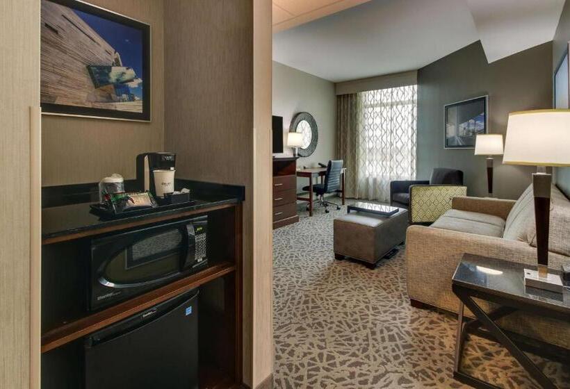 高级套房, Drury Plaza Hotel Dallas Richardson