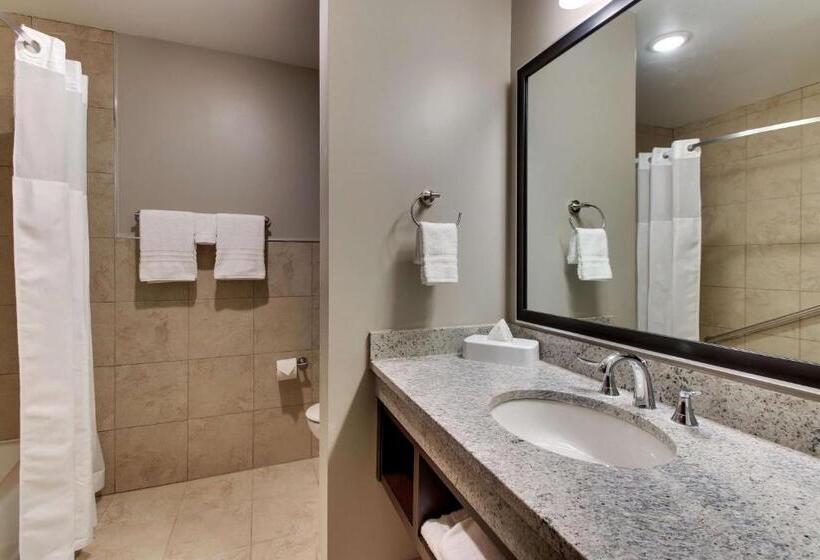 غرفة ديلوكس لذوى الاحتياجات الخاصة, Drury Plaza Hotel Dallas Richardson