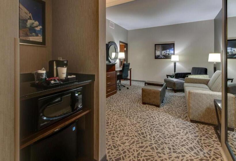 جناح لذوى الاحتياجات الخاصة, Drury Plaza Hotel Dallas Richardson