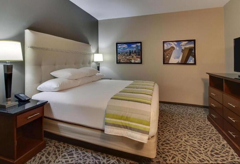 适合残疾人士使用的套间, Drury Plaza Hotel Dallas Richardson