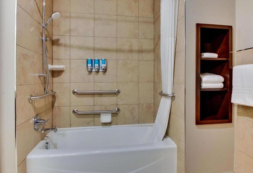 适合残疾人士使用的套间, Drury Plaza Hotel Dallas Richardson