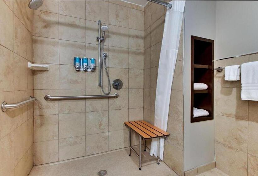 غرفة سوبيريور لذوى الاحتياجات الخاصة, Drury Plaza Hotel Dallas Richardson