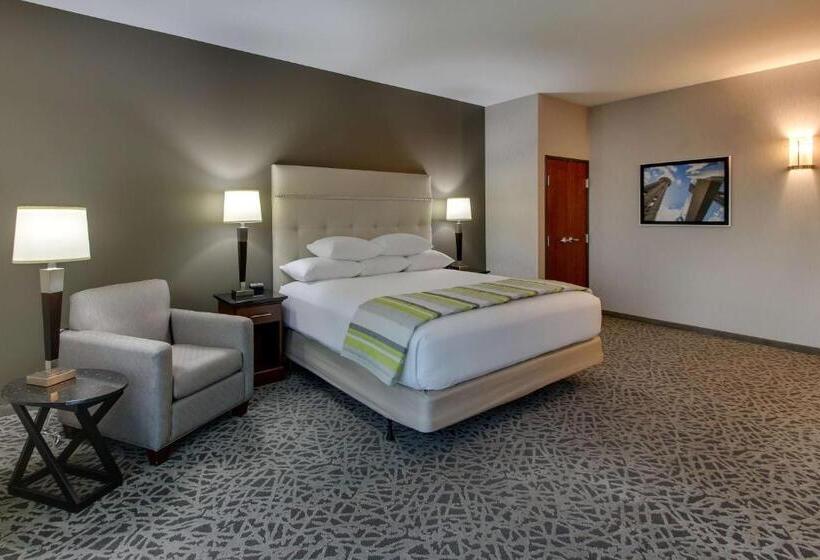 Номер Superior Адаптированный для Инвалидов, Drury Plaza Hotel Dallas Richardson