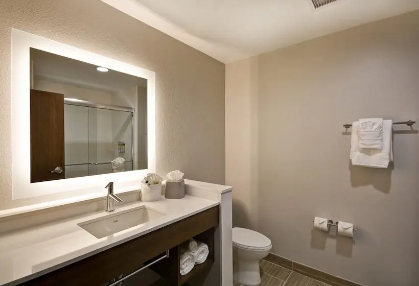 身障者適用スイートルーム, Holiday Inn Express & Suites Houston Nasa Boardwalk Area, An Ihg