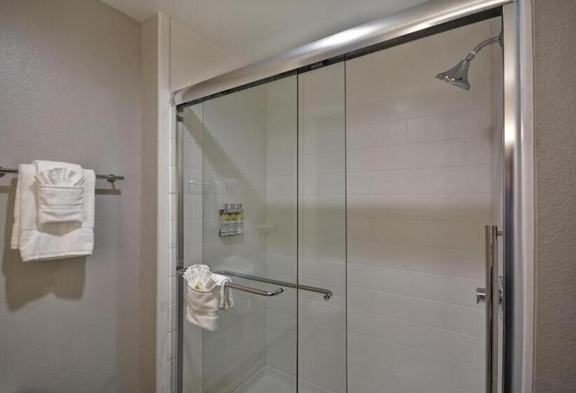 Номер Стандарт Кровать Кинг Адаптированный для Инвалидов, Holiday Inn Express & Suites   Houston Nasa   Boardwalk Area, An Ihg
