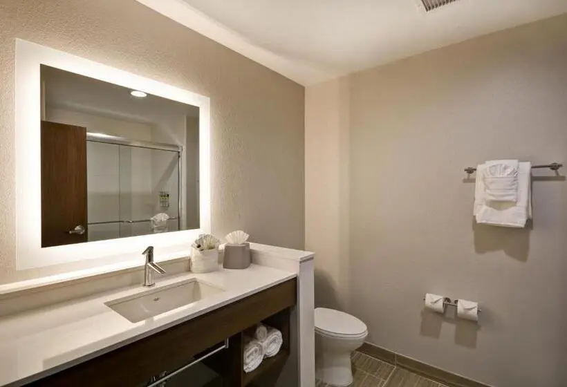身障者適用スタンダードルーム, Holiday Inn Express & Suites   Houston Nasa   Boardwalk Area, An Ihg