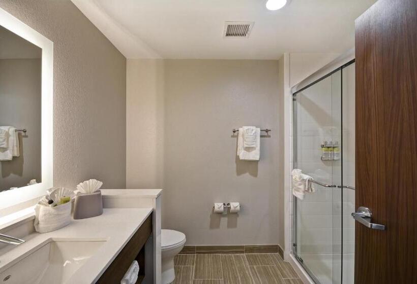 스위트, Holiday Inn Express & Suites   Houston Nasa   Boardwalk Area, An Ihg