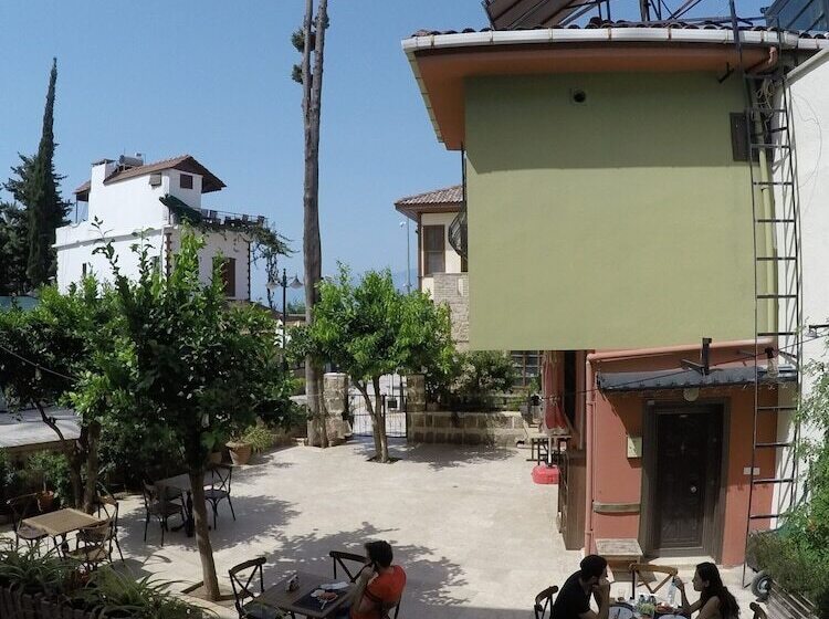 اتاق استاندارد یک نفره با چشمانداز دریا, Mono