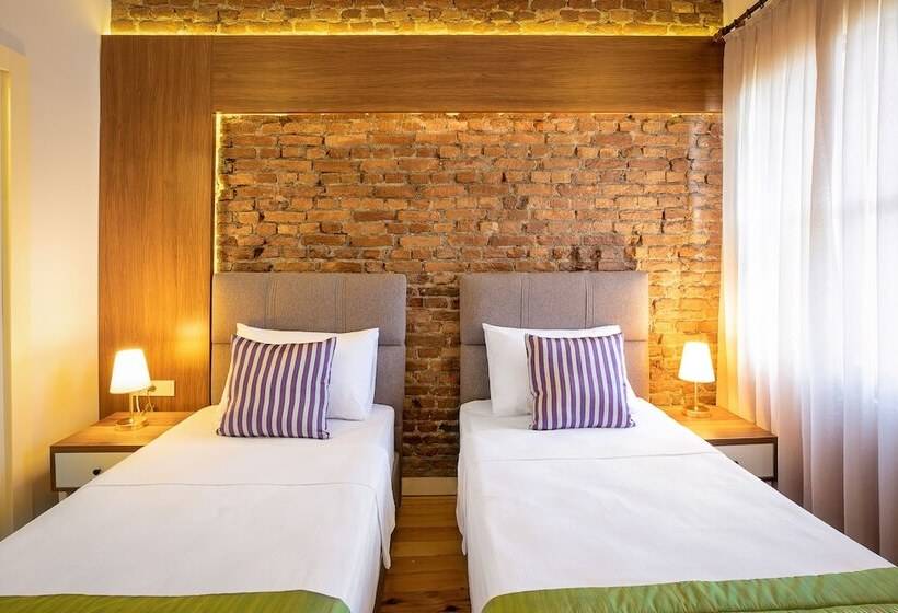 اتاق استاندارد با چشمانداز شهر, Mono