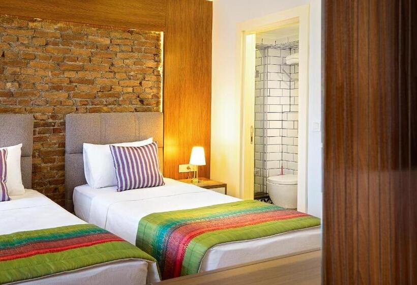 اتاق استاندارد با چشمانداز شهر, Mono