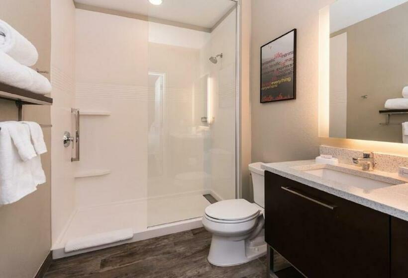 스탠다드 스튜디오 킹침대, Towneplace Suites By Marriott Detroit Belleville