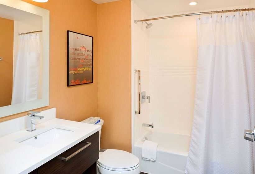 סוויטה, Towneplace Suites By Marriott Detroit Belleville