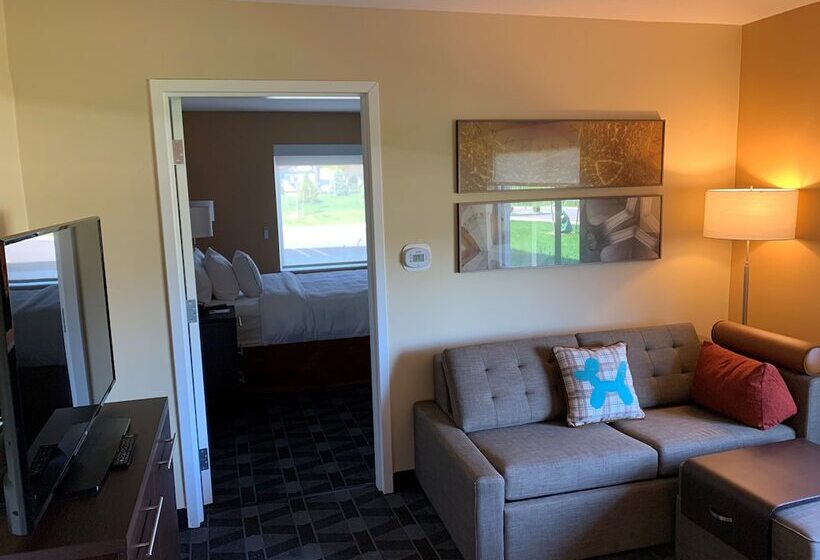 스위트, Towneplace Suites By Marriott Detroit Belleville