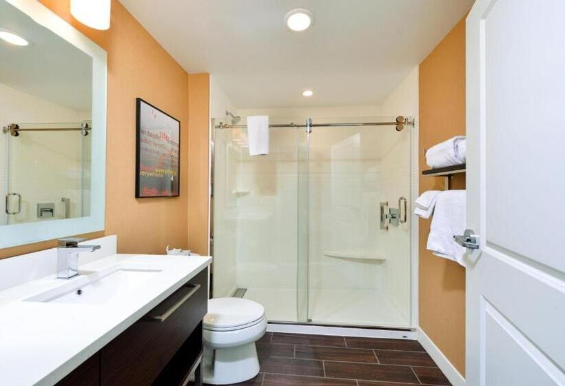 סטודיו סטנדרט, מיטה זוגית, Towneplace Suites By Marriott Detroit Belleville