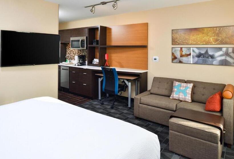 סטודיו סטנדרט, מיטה זוגית, Towneplace Suites By Marriott Detroit Belleville