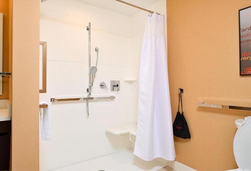 스탠다드 스튜디오, Towneplace Suites By Marriott Detroit Belleville