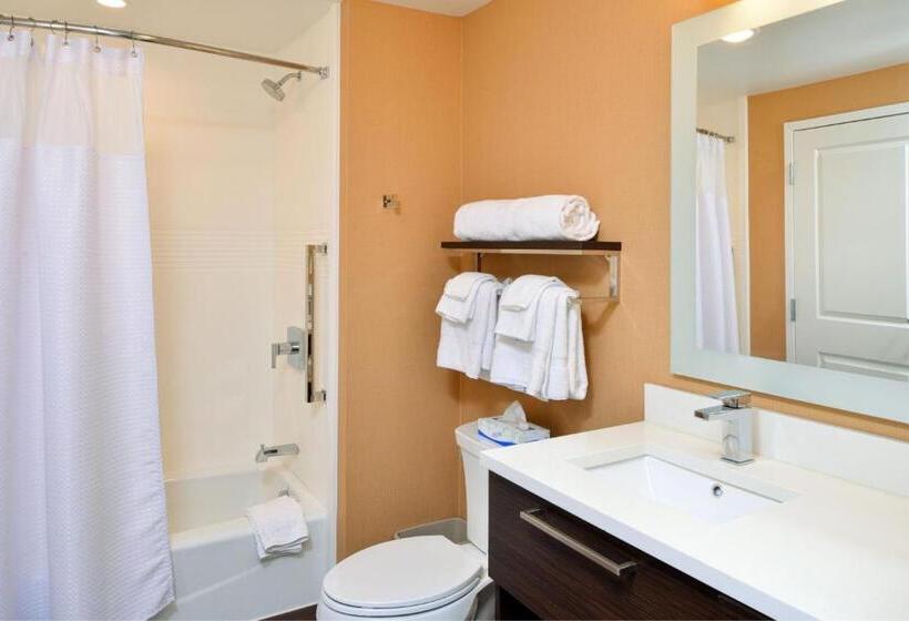 חדר סטודיו סטנדרד, Towneplace Suites By Marriott Detroit Belleville