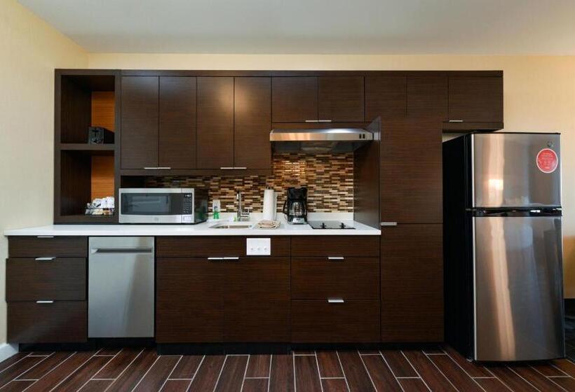 חדר סטודיו סטנדרד, Towneplace Suites By Marriott Detroit Belleville