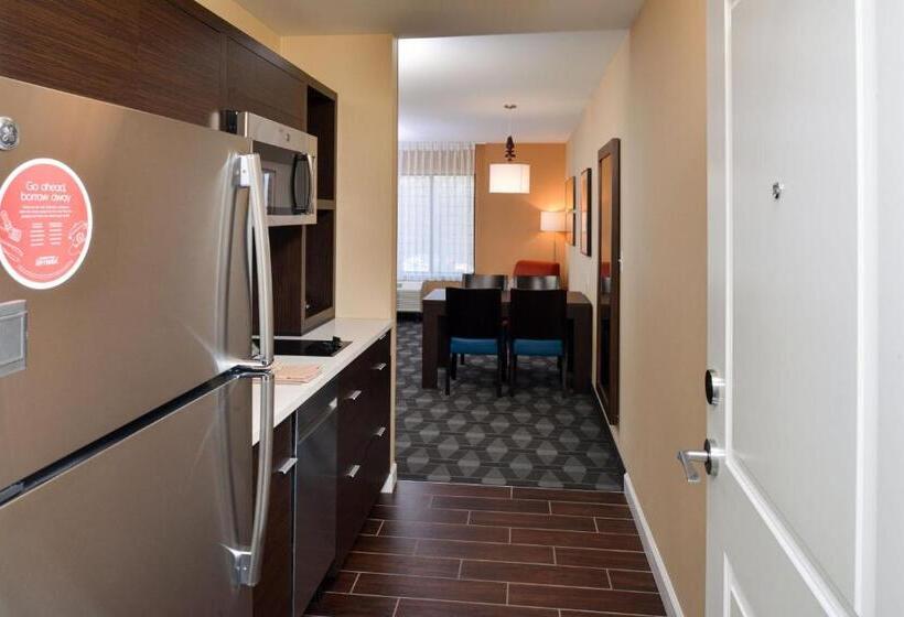 חדר סטודיו סטנדרד, Towneplace Suites By Marriott Detroit Belleville