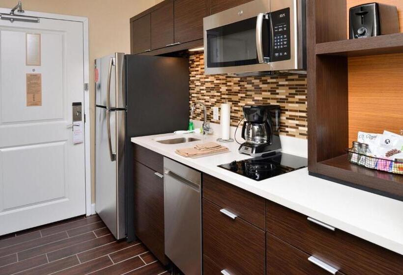חדר סטודיו סטנדרד, Towneplace Suites By Marriott Detroit Belleville
