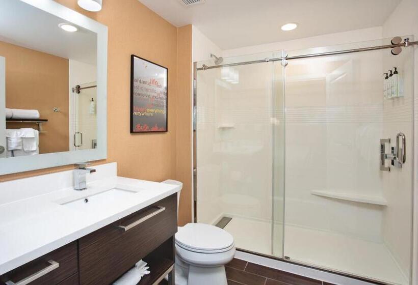 إستوديو قياسى سرير كينج, Towneplace Suites By Marriott Detroit Belleville