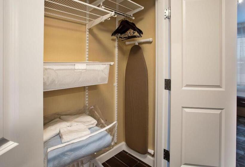 סטודיו סטנדרט, מיטה זוגית, Towneplace Suites By Marriott Detroit Belleville