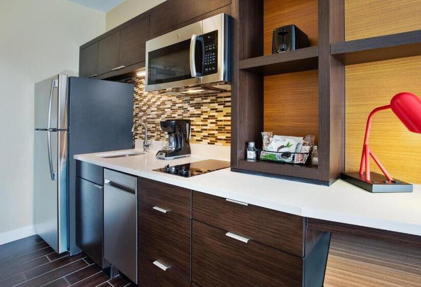 إستوديو قياسى سرير كينج, Towneplace Suites By Marriott Detroit Belleville