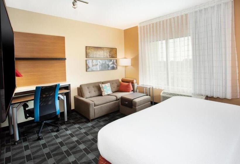 סטודיו סטנדרט, מיטה זוגית, Towneplace Suites By Marriott Detroit Belleville