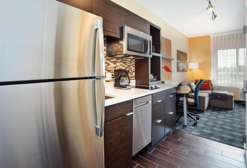 סטודיו סטנדרט, מיטה זוגית, Towneplace Suites By Marriott Detroit Belleville